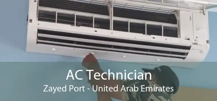 AC Technician Zayed Port - United Arab Emirates