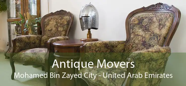 Antique Movers Mohamed Bin Zayed City - United Arab Emirates