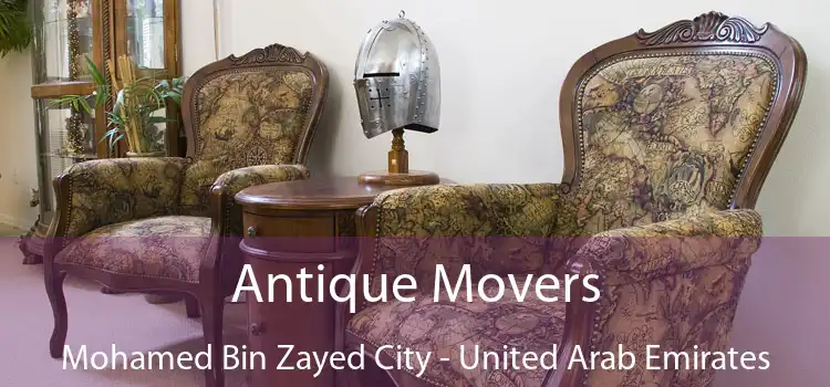 Antique Movers Mohamed Bin Zayed City - United Arab Emirates