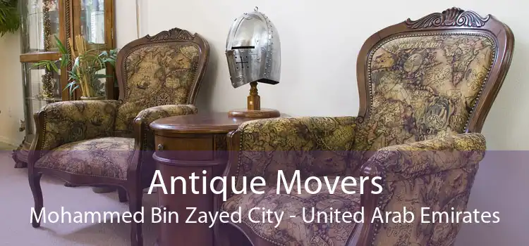 Antique Movers Mohammed Bin Zayed City - United Arab Emirates