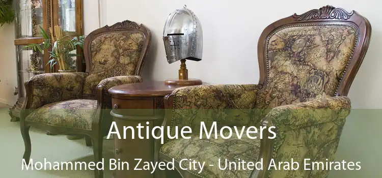 Antique Movers Mohammed Bin Zayed City - United Arab Emirates