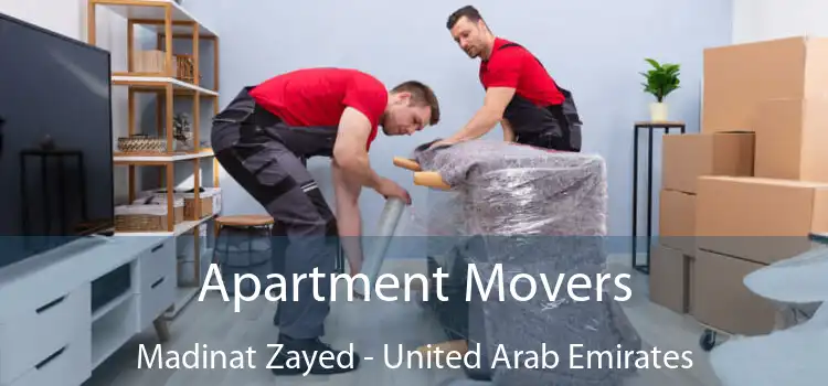 Apartment Movers Madinat Zayed - United Arab Emirates