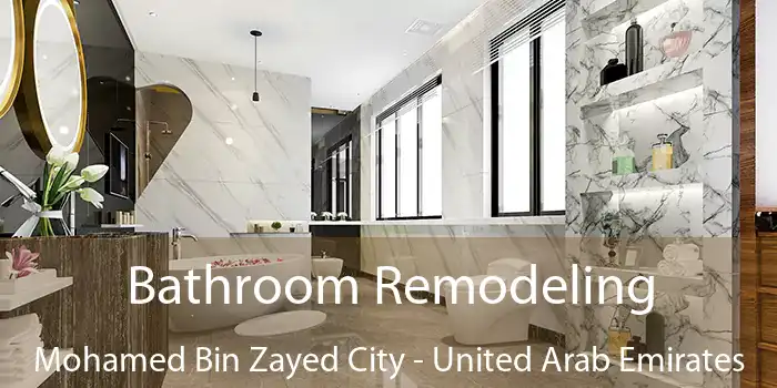 Bathroom Remodeling Mohamed Bin Zayed City - United Arab Emirates