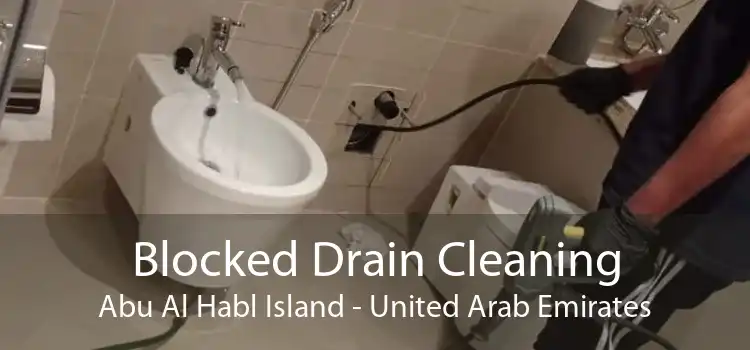 Blocked Drain Cleaning Abu Al Habl Island - United Arab Emirates