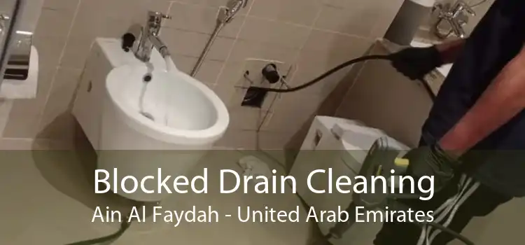 Blocked Drain Cleaning Ain Al Faydah - United Arab Emirates