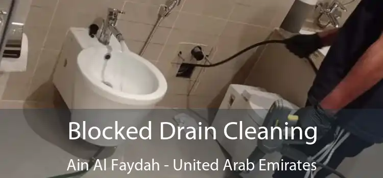 Blocked Drain Cleaning Ain Al Faydah - United Arab Emirates