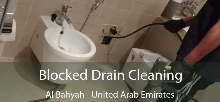 Blocked Drain Cleaning Al Bahyah - United Arab Emirates