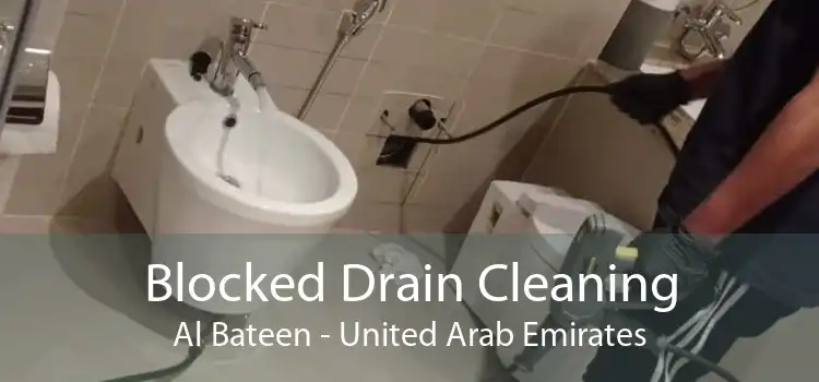 Blocked Drain Cleaning Al Bateen - United Arab Emirates