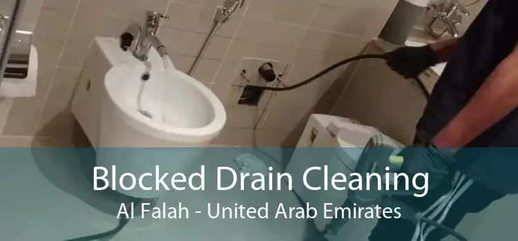 Blocked Drain Cleaning Al Falah - United Arab Emirates