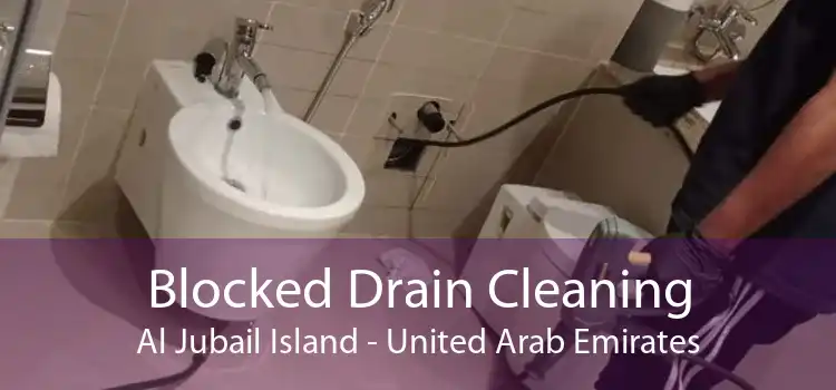 Blocked Drain Cleaning Al Jubail Island - United Arab Emirates