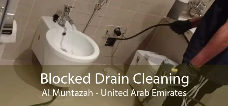 Blocked Drain Cleaning Al Muntazah - United Arab Emirates