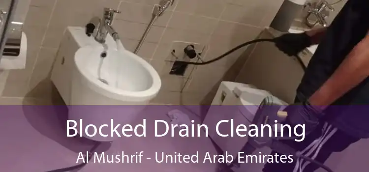 Blocked Drain Cleaning Al Mushrif - United Arab Emirates