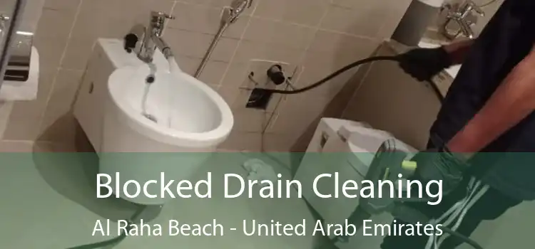 Blocked Drain Cleaning Al Raha Beach - United Arab Emirates