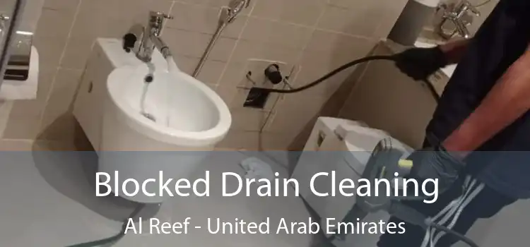 Blocked Drain Cleaning Al Reef - United Arab Emirates