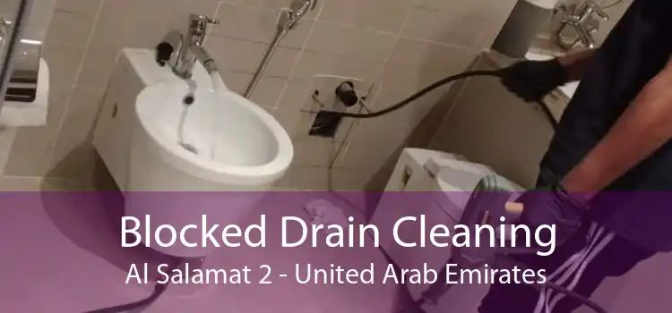 Blocked Drain Cleaning Al Salamat 2 - United Arab Emirates
