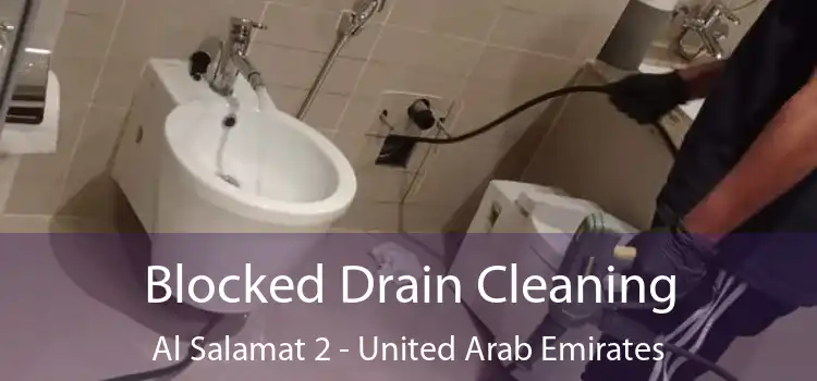 Blocked Drain Cleaning Al Salamat 2 - United Arab Emirates