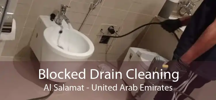 Blocked Drain Cleaning Al Salamat - United Arab Emirates