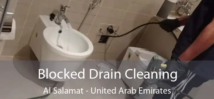 Blocked Drain Cleaning Al Salamat - United Arab Emirates