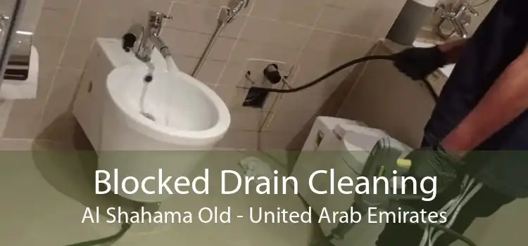 Blocked Drain Cleaning Al Shahama Old - United Arab Emirates