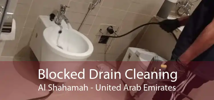 Blocked Drain Cleaning Al Shahamah - United Arab Emirates