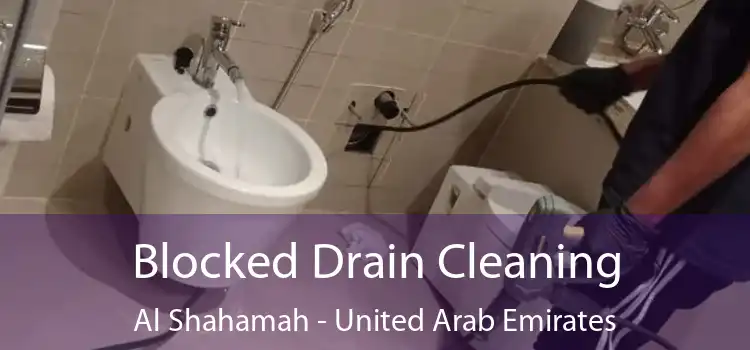 Blocked Drain Cleaning Al Shahamah - United Arab Emirates