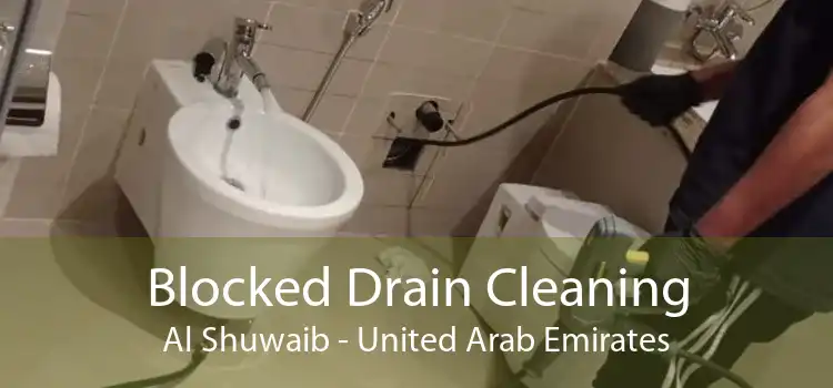 Blocked Drain Cleaning Al Shuwaib - United Arab Emirates