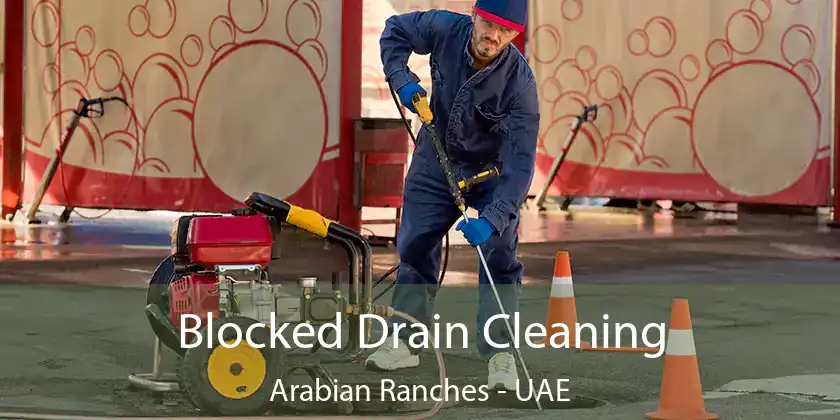  Blocked Drain Cleaning Arabian Ranches - UAE