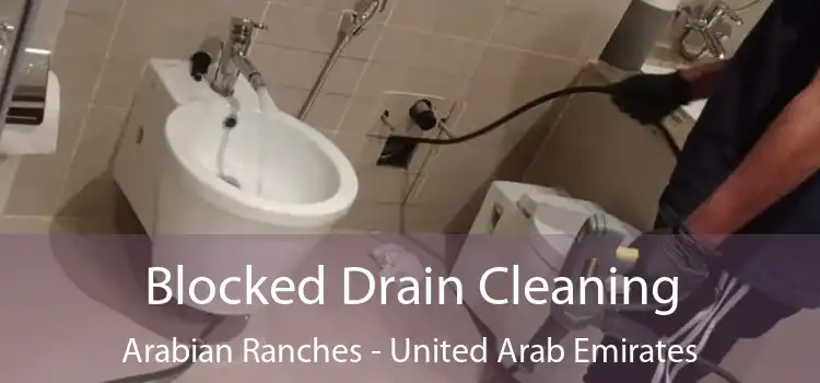 Blocked Drain Cleaning Arabian Ranches - United Arab Emirates