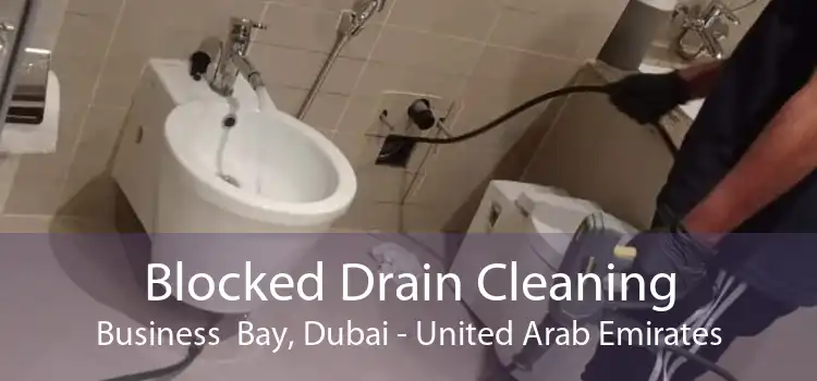 Blocked Drain Cleaning Business  Bay, Dubai - United Arab Emirates