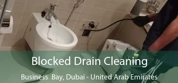 Blocked Drain Cleaning Business  Bay, Dubai - United Arab Emirates