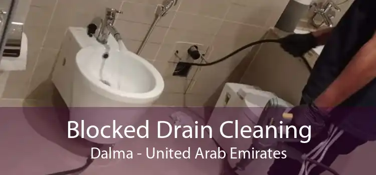Blocked Drain Cleaning Dalma - United Arab Emirates