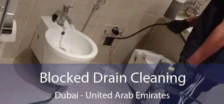 Blocked Drain Cleaning Dubai - United Arab Emirates