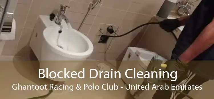 Blocked Drain Cleaning Ghantoot Racing & Polo Club - United Arab Emirates