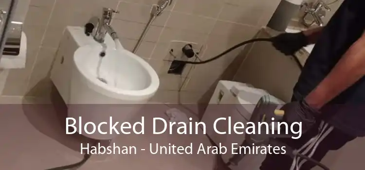 Blocked Drain Cleaning Habshan - United Arab Emirates