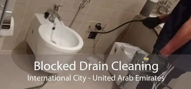 Blocked Drain Cleaning International City - United Arab Emirates