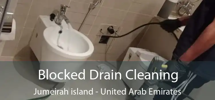 Blocked Drain Cleaning Jumeirah island - United Arab Emirates