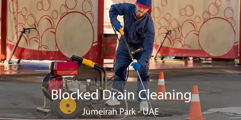  Blocked Drain Cleaning Jumeirah Park - UAE
