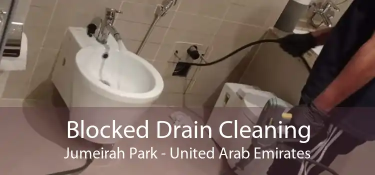 Blocked Drain Cleaning Jumeirah Park - United Arab Emirates