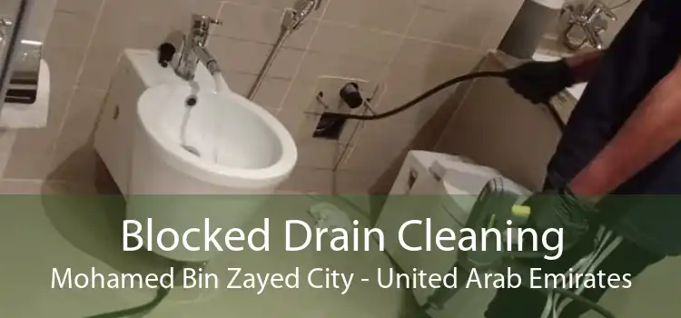 Blocked Drain Cleaning Mohamed Bin Zayed City - United Arab Emirates