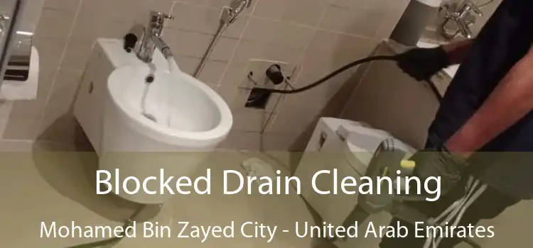 Blocked Drain Cleaning Mohamed Bin Zayed City - United Arab Emirates