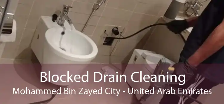 Blocked Drain Cleaning Mohammed Bin Zayed City - United Arab Emirates