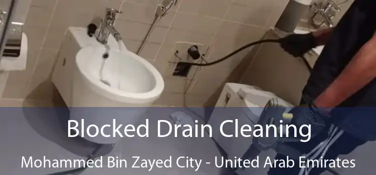 Blocked Drain Cleaning Mohammed Bin Zayed City - United Arab Emirates