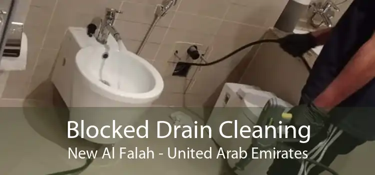 Blocked Drain Cleaning New Al Falah - United Arab Emirates