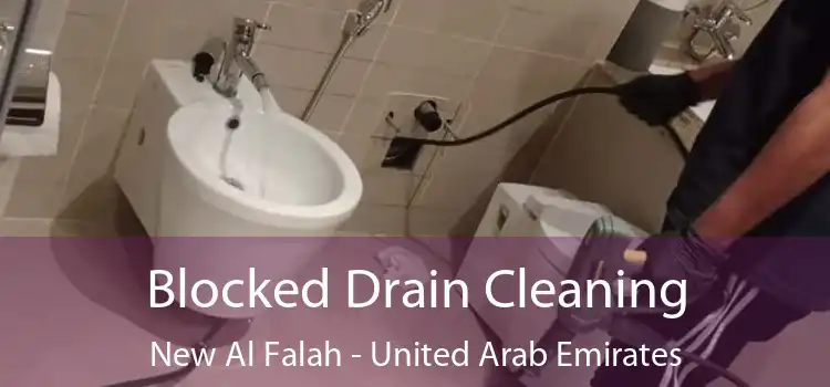 Blocked Drain Cleaning New Al Falah - United Arab Emirates