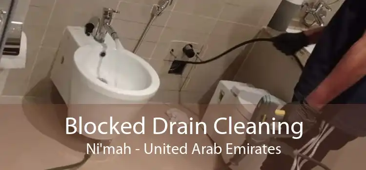 Blocked Drain Cleaning Ni'mah - United Arab Emirates