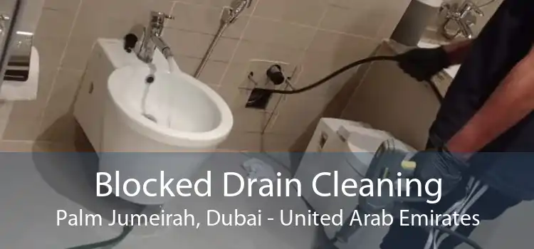 Blocked Drain Cleaning Palm Jumeirah, Dubai - United Arab Emirates