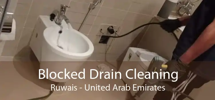 Blocked Drain Cleaning Ruwais - United Arab Emirates