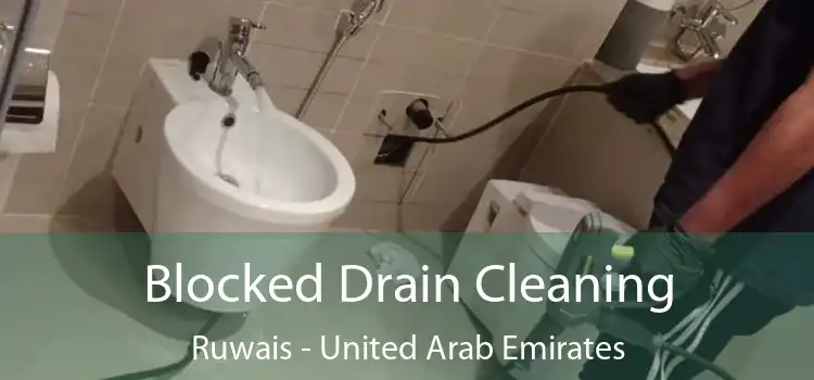 Blocked Drain Cleaning Ruwais - United Arab Emirates