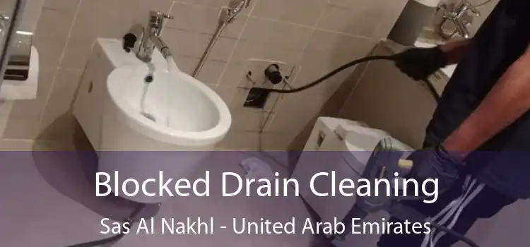 Blocked Drain Cleaning Sas Al Nakhl - United Arab Emirates