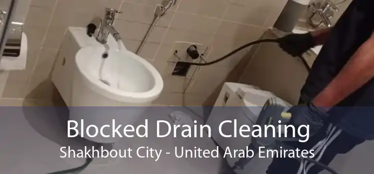 Blocked Drain Cleaning Shakhbout City - United Arab Emirates